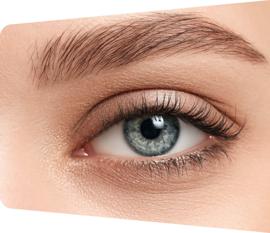 Brows Brows